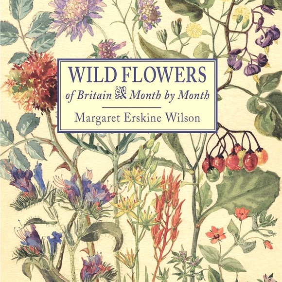 Wildflowers of Britain Month by Month Margaret Erskine Wilson - Picture 1 of 2